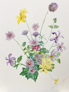 Spring Garden-A