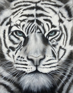 WHITE TIGER